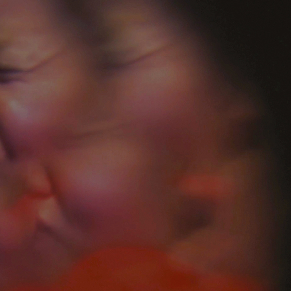 C027-EP1_distribution-preview