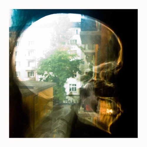 Cover Plaid | Reachy Prints