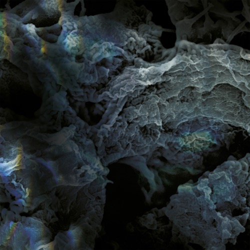 Cover LSD | Third Process