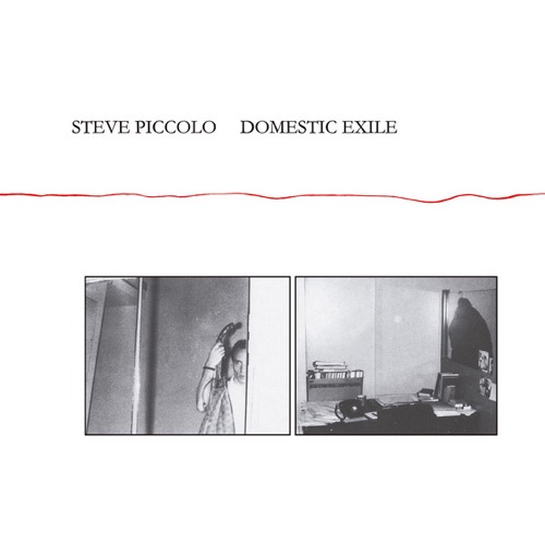 Cover Steve Piccolo | Domestic Exile