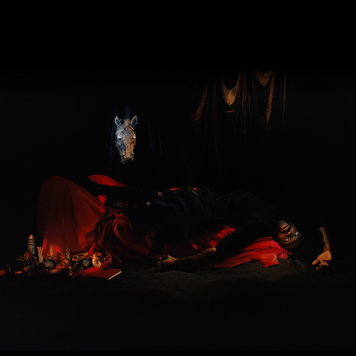 Cover Ghostpoet | I Grow Tired But Dare Not Fall Asleep (Limited Clear Vinyl)