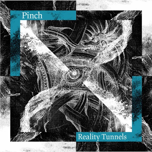 Cover Pinch | Reality Tunnels