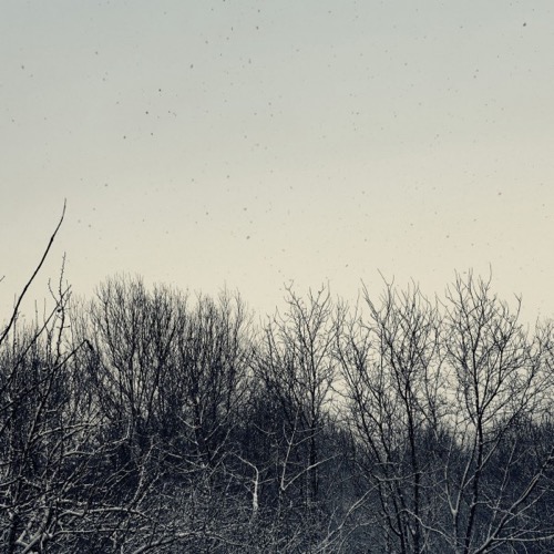 Cover Geins't Nait and Scanner | GN / Scanner