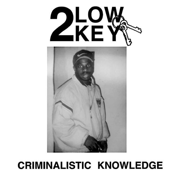 Low Key Criminalistic Knowledge Serendeepity