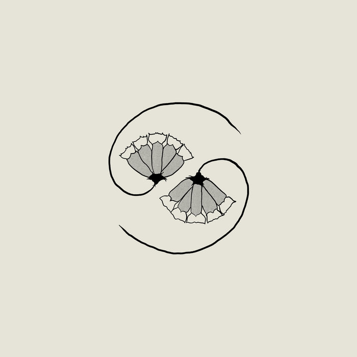 Cover Godspeed You! Black Emperor | G_d's Pee At State's End!