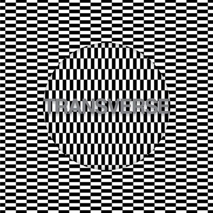 Cover Carter Tutti Void | Transverse (LP + CD)