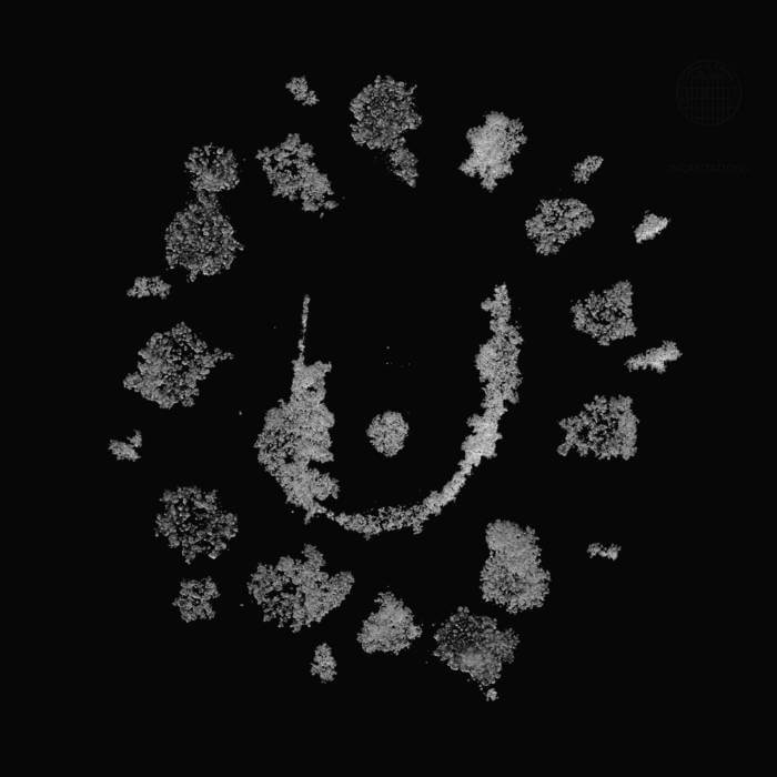 Cover Various | Fly Me to the Moon