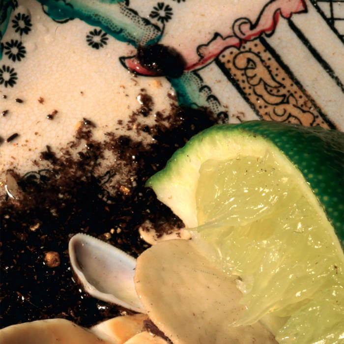 Cover Donato Dozzy | Plays Bee Mask