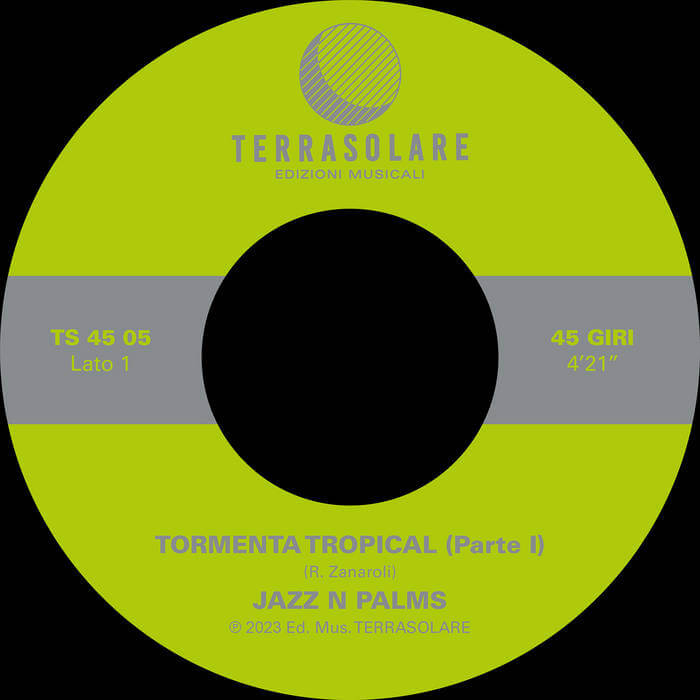Cover Tormenta TropicalJazz N Palms