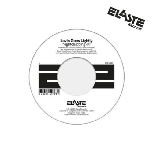 Levin Goes Lightly & The Members / The Model Serendeepity