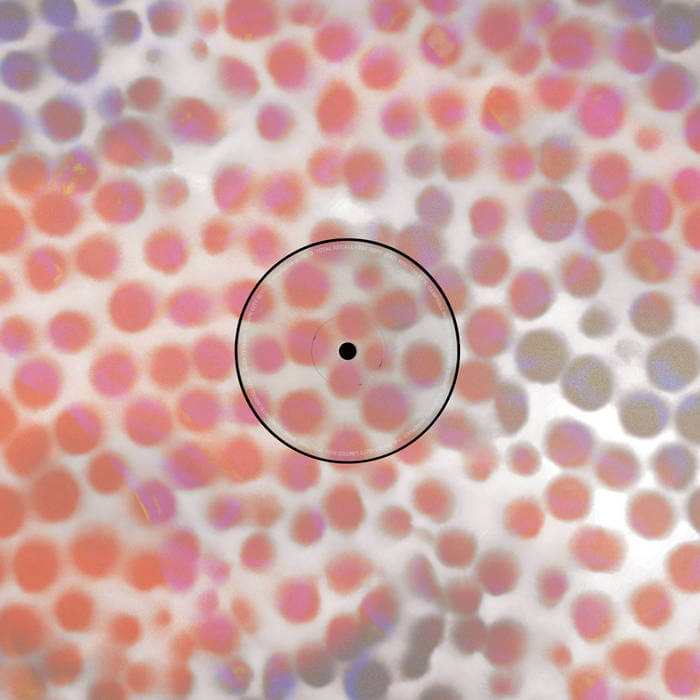 Cover Roza Terenzi & Furious FrankRoza Terenzi & Furious Frank LP