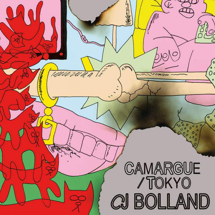 Cover Cj BollandCamargue / Tokyo