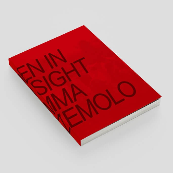 Cover Fiamma MontezemoloHidden In Plain Sight