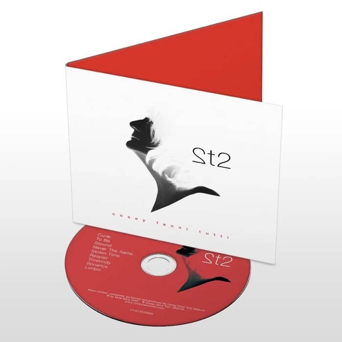 Cover Cosey Fanni Tutti2t2