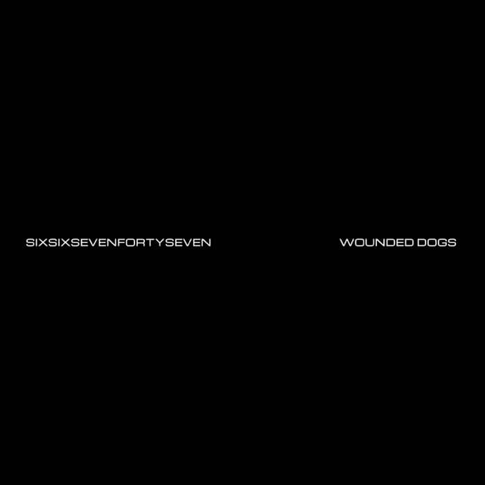 Cover SixSixSevenFortySeven (NVST & Zohar) | Wounded Dogs