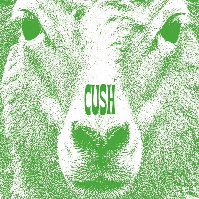 Cover CushMOB 1