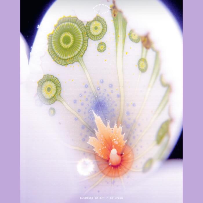 Cover Courtney BaileyIn Dream