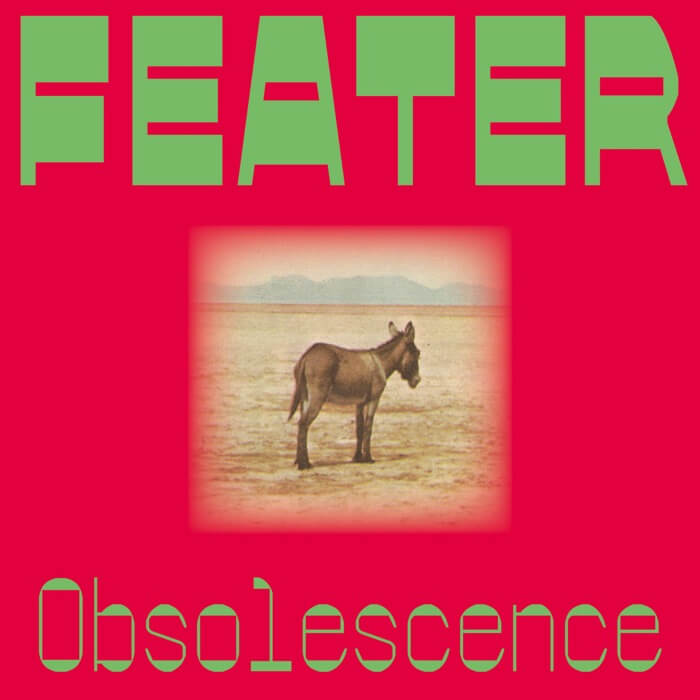 Cover FeaterObsolescence