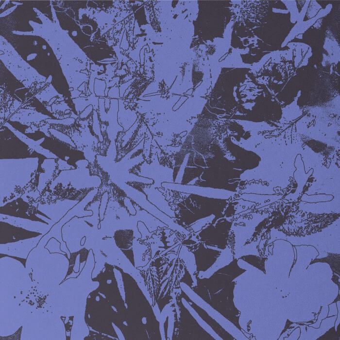 Cover Plants HealForest Dwellers