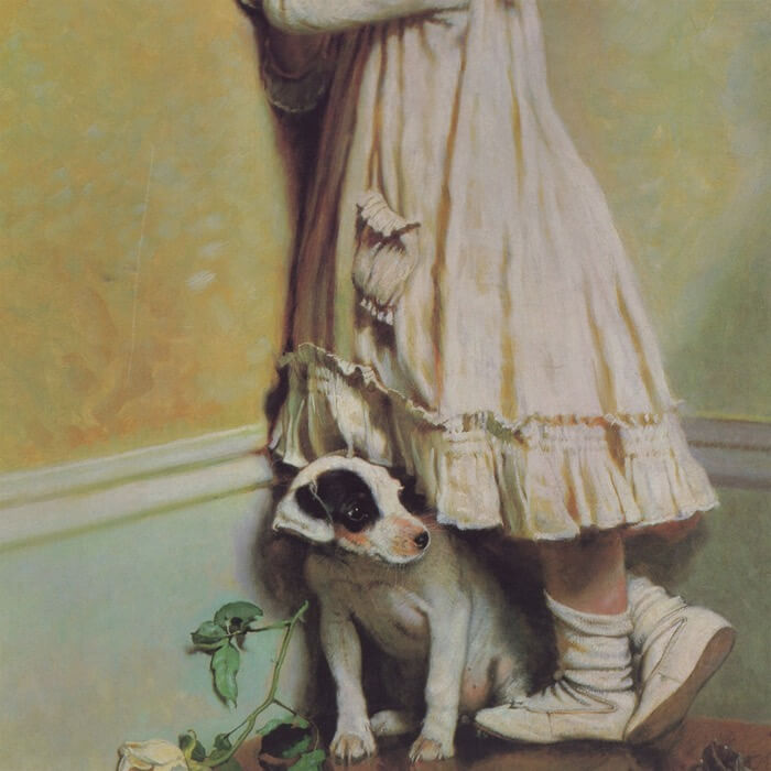 Cover VariousGoing Back to Sleep