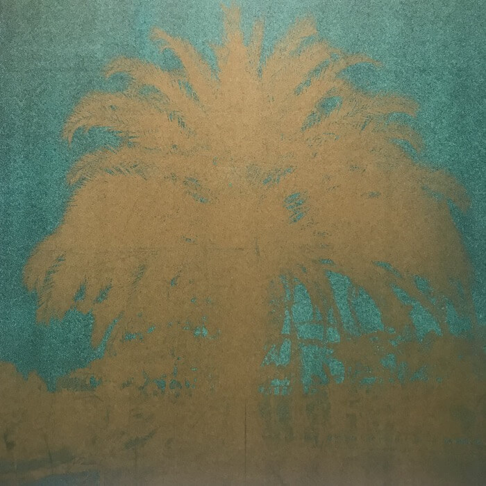 Cover Viola KleinNew Chapter