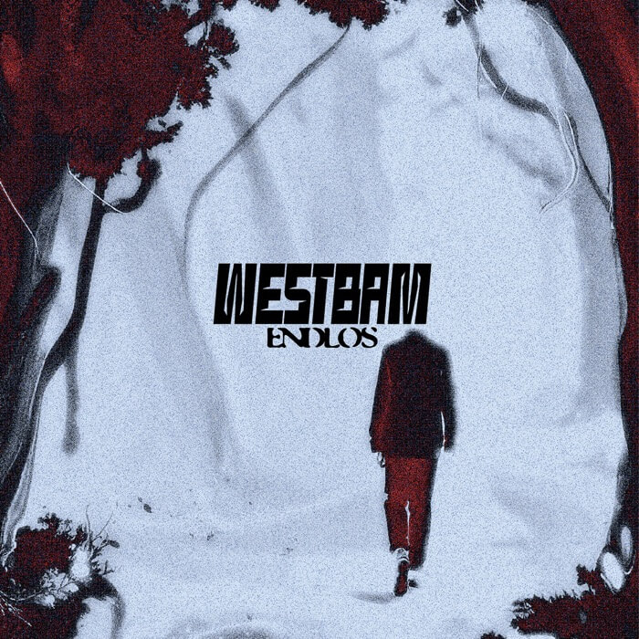 Cover WestbamEndlos