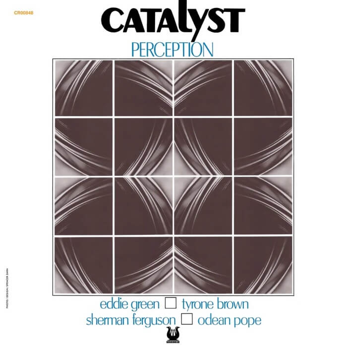 Cover CatalystPerception