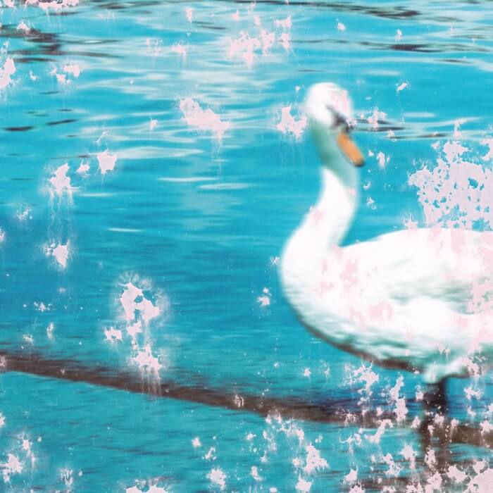 Cover PVASSlipstream