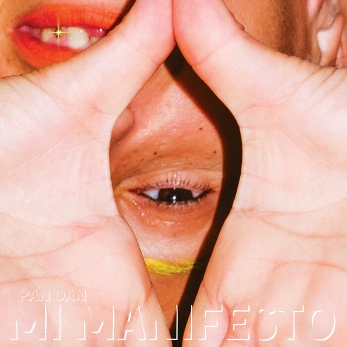 Cover Pan DanMi Manifesto