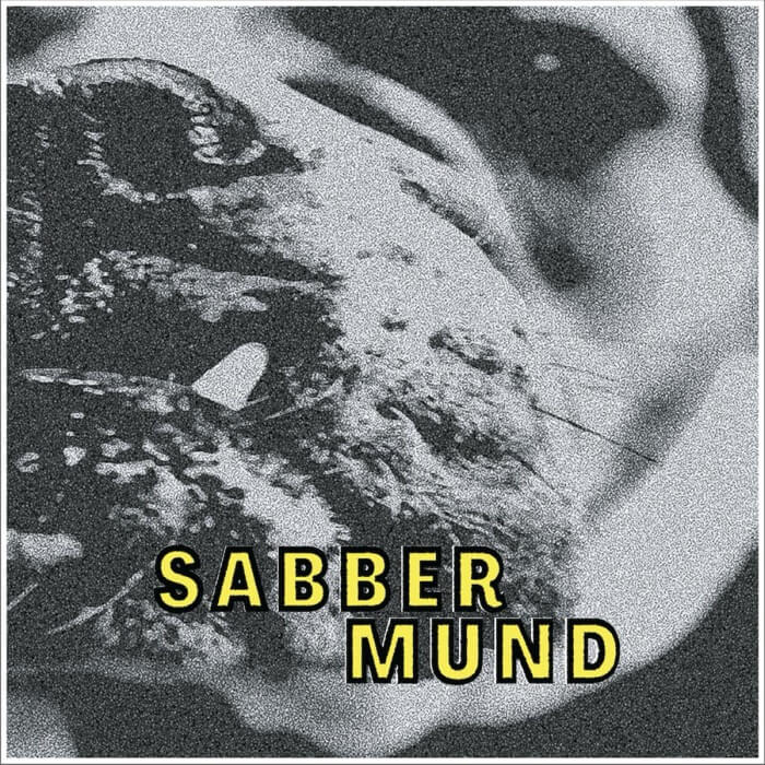 Cover Sabber MundGut und Günstig