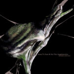 Anna Vs June and Jan Van Angelopoulos | Mutable Ground