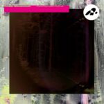 Kordian Nieznanowski | Thawed Psychedelic Rhizomes