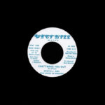 Mystic Jungle And The Voice Of Roxana | Can't Make You Out / Mountain River