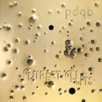 pdqb | Direct Hits (incl. Roman Flugel Remixes) (Black/Gold Splatter Vinyl)