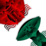 Arcibanda | New Item