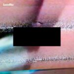 Sexy Lazer, Kaktus Einarsson | Mango Salsa