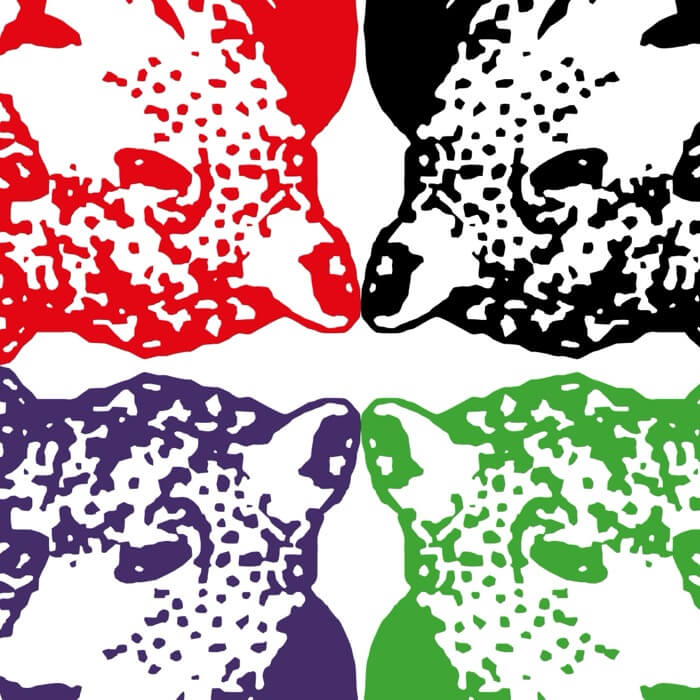 Cover Tiger & WoodsThrough The Green