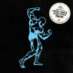 Various | Curses presents: Next Wave Acid Punx Trois - Chapter 3