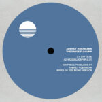 Aubrey Hoermann | The Dance Flo-Funk EP