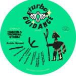 Aukio Sound | Tiger In A Tropical Storm