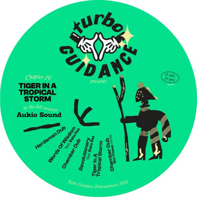 Cover Aukio Sound | Tiger In A Tropical Storm