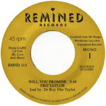 Ebo Taylor | Will You Promise / Maye Omama