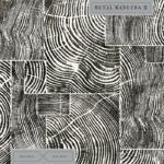 Marco Bosco X Alter Disco | Metalmadeira II