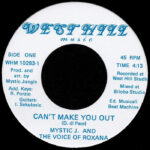 Mystic Jungle And The Voice Of Roxana | Can't Make You Out / Mountain River