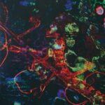 So-Fi | Mind Migration