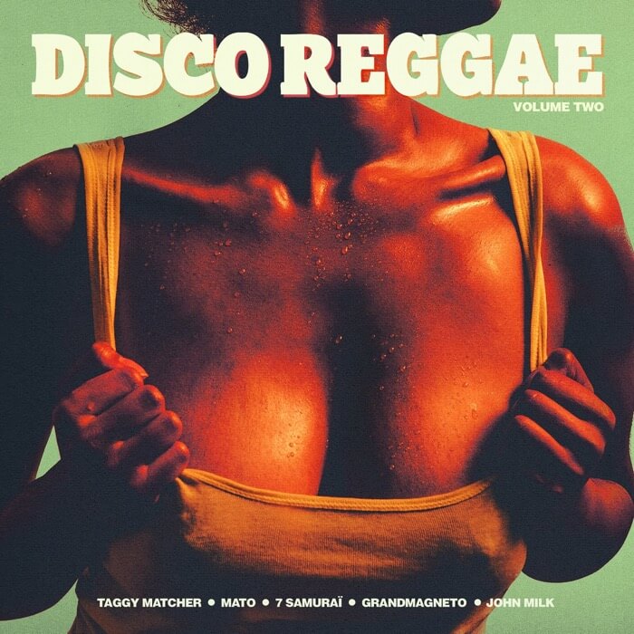 Cover Various | Disco Reggae Vol. 2