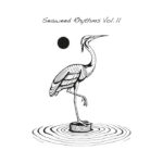 Various | Seaweed Rhythms Vol.II