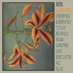 Xylitol | Blumenfantasie