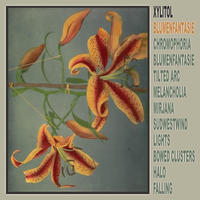 Cover XylitolBlumenfantasie