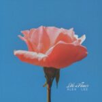 Alek Lee | Like A Flower